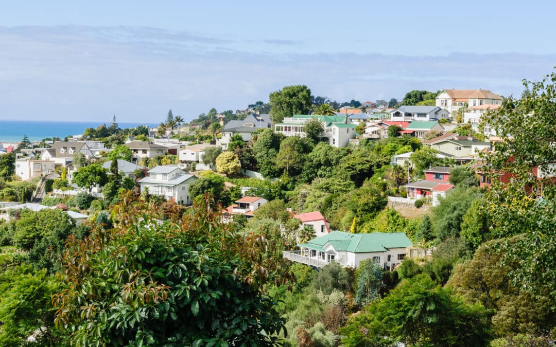 Valocity Welcomes Commerce Commission Findings, Driving Innovation and Choice for Kiwi Homebuyers